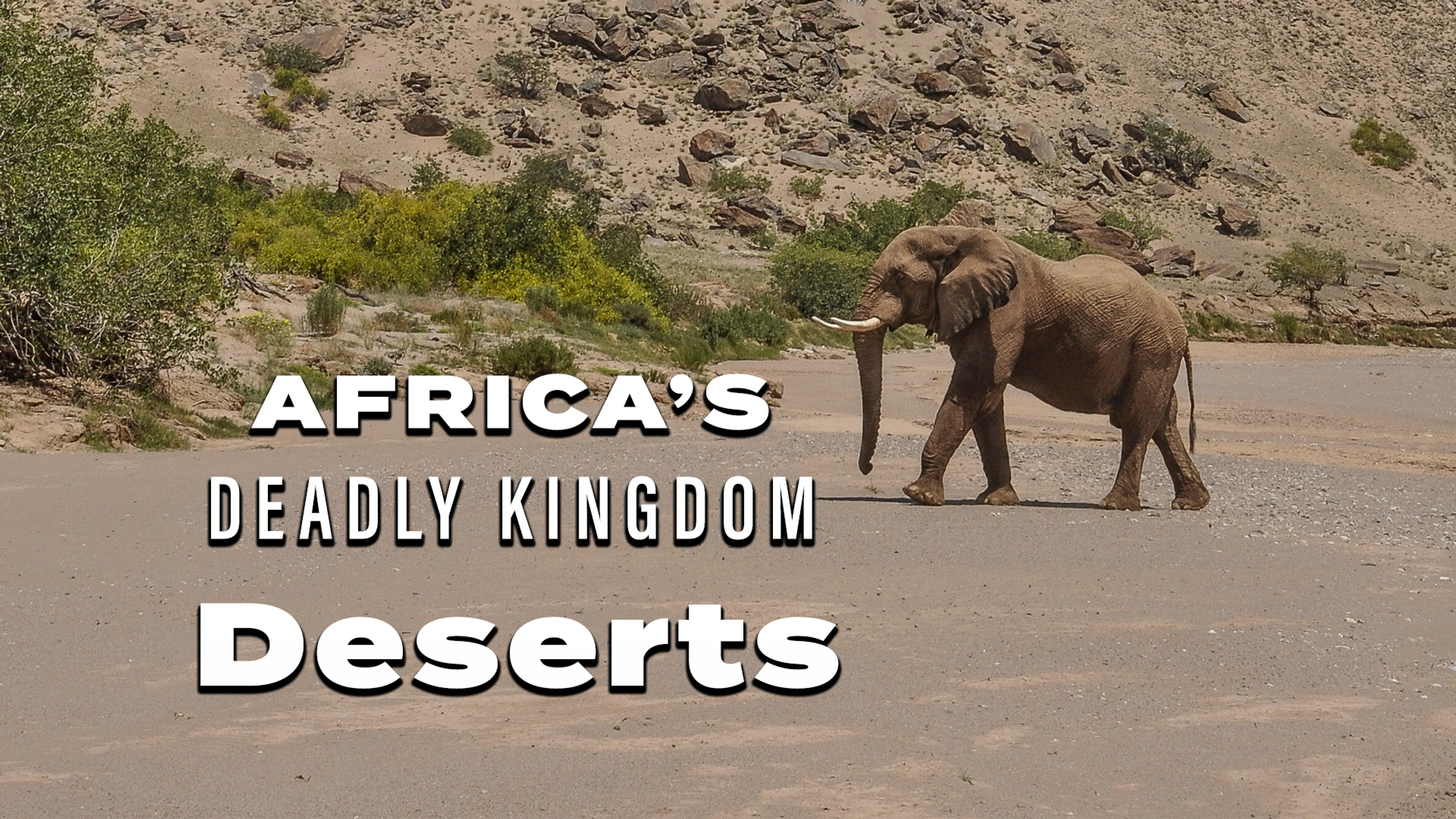Africa’s Deadly Kingdom: Deserts poster